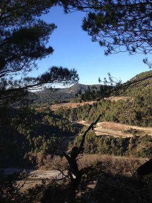 Les falaises au dessus de l'Ouvèze, près de la chambre d'hôtes l'Esclériade