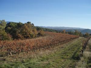 Sur la route de Font Girade vers Faucon, près de la chambre d'hôtes l'Esclériade à Entrechaux