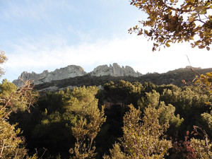 Dentelles de Montmirail depuis la chambre d'hotes l'Esclériade en Vaucluse