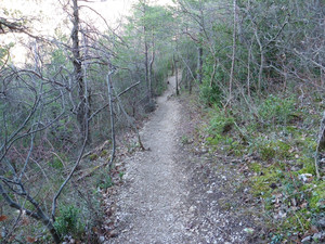 sentier vers les dentelles de montmirail depuis l'esclériade en provence